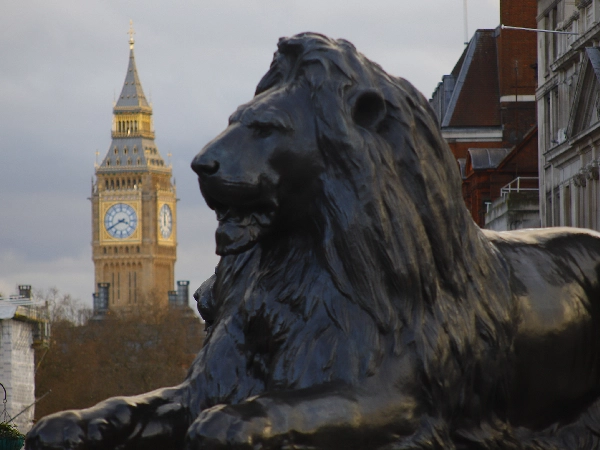 Image of Big Ben and a Trafalgar Square lion, two iconic landmarks in London, attracting the desire of every visitor to witness them at least once.